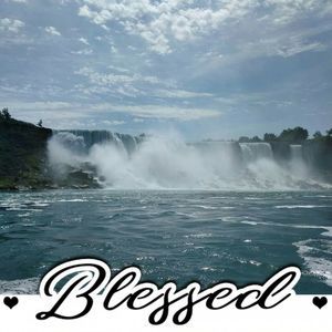 Meet your Posher, Gurtheen